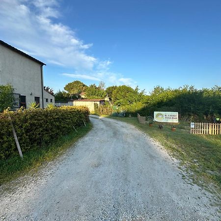 - Il Casale Toscano - 1900Mt From Leaning Tower - No Breakfast - Free Parking Pisa Exterior photo